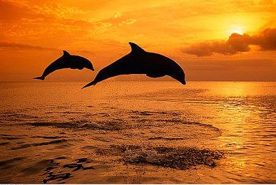 复古风格策略战术游戏《异度游骑兵》现已登录Steam平台