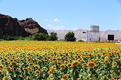 Steam年度游戏奖项开启投票 一共10个奖项